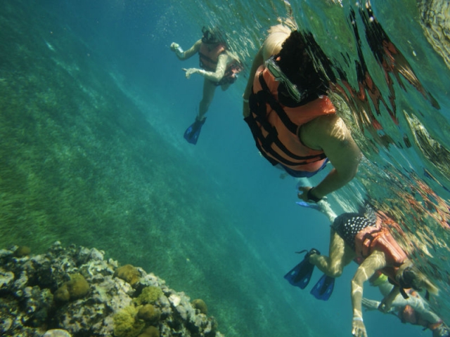  Schnorcheln in Cozumel 